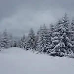 Сasa de vacaciones Dom Trzech Braci *