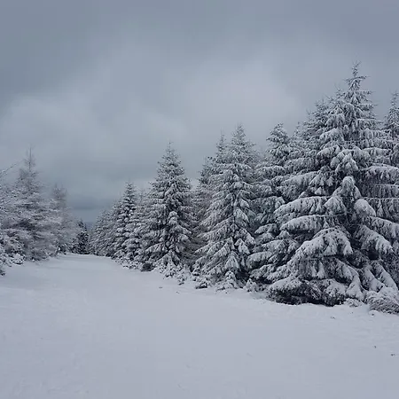 Hébergement de vacances Dom Trzech Braci *