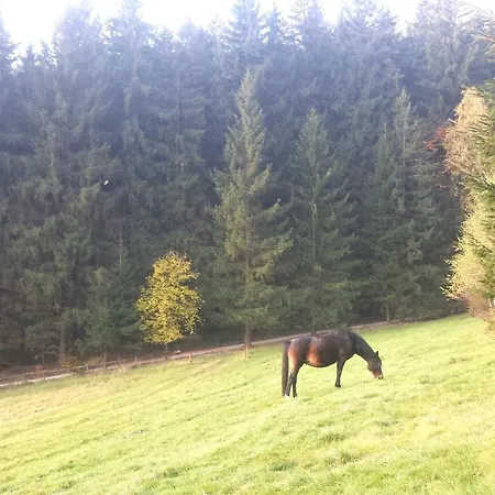 Hébergement de vacances Dom Trzech Braci