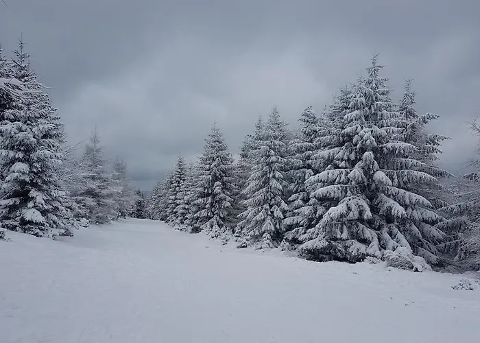 Дом отдыха Dom Trzech Braci *