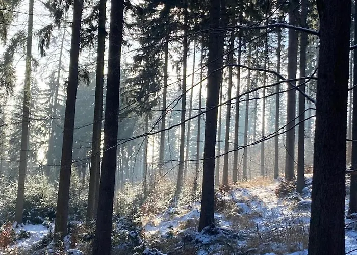 Dom Trzech Braci Лёндек-Здруй
