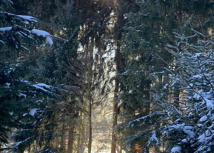 Dom Trzech Braci Дом отдыха