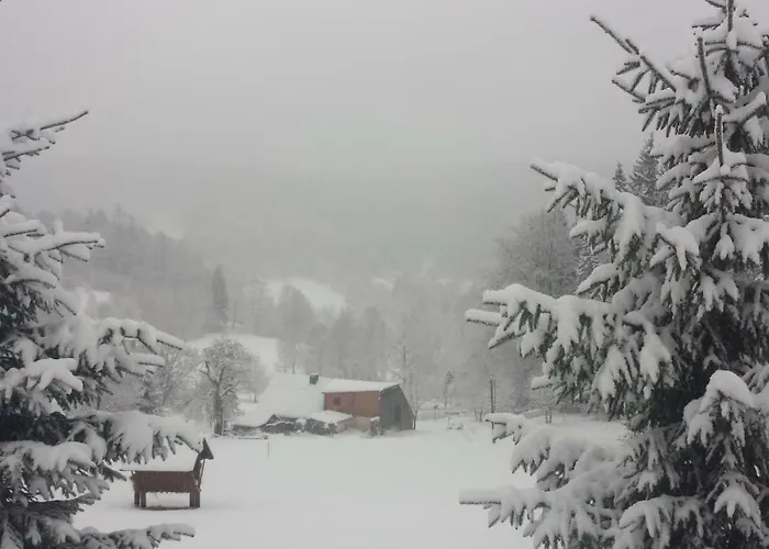 Dom Trzech Braci בית נופש *