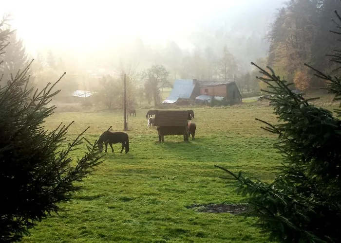 Dom Trzech Braci בית נופש *