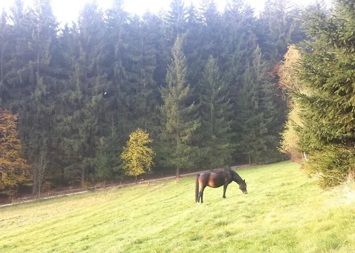 בית נופש Dom Trzech Braci