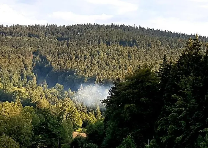 Дом отдыха Dom Trzech Braci Лёндек-Здруй